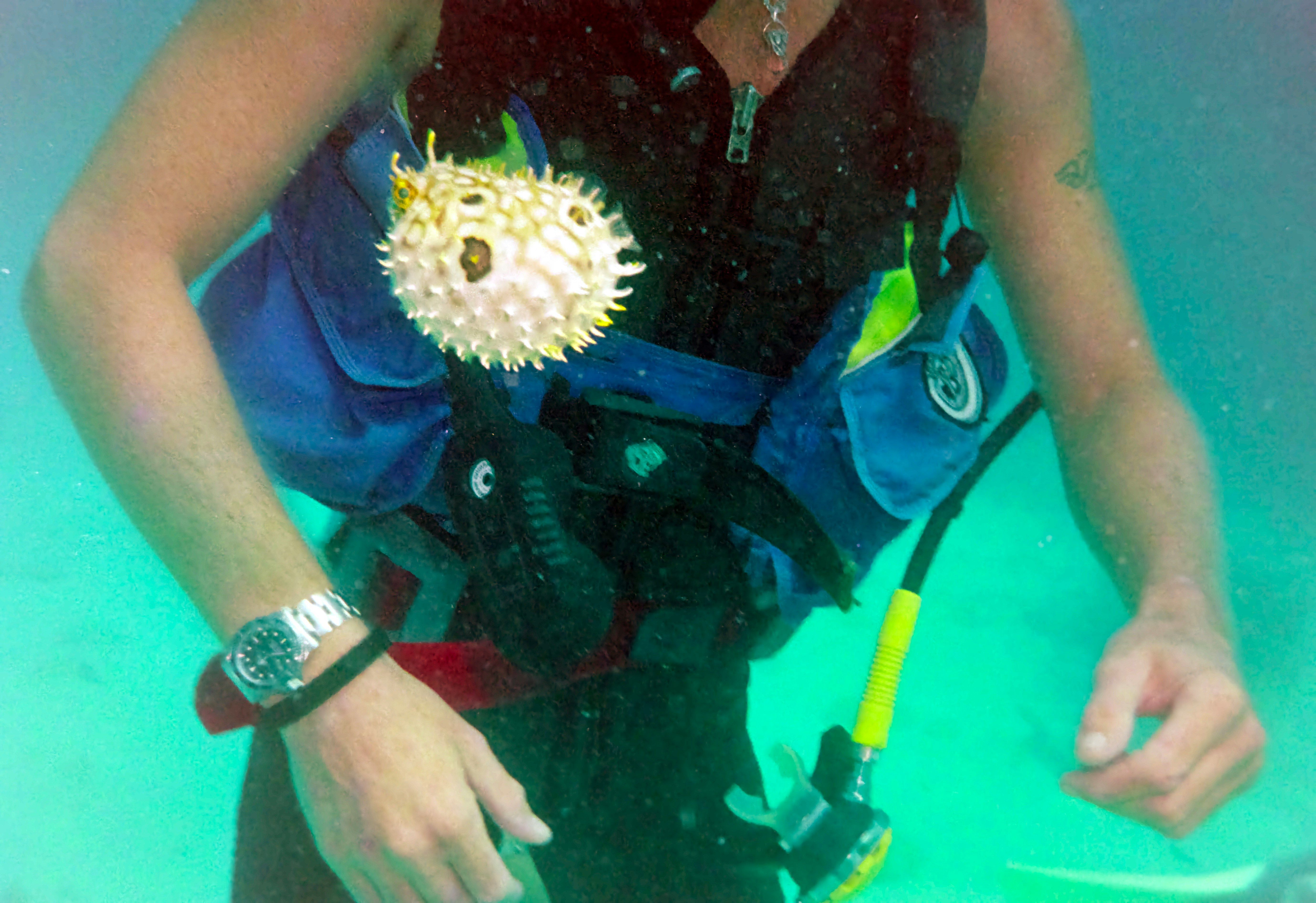 person in black and green wet suit